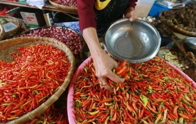 Harga Pangan Nasional 15 Oktober 2025 Turun, Cabai, Beras, dan Daging Jadi Komoditas Utama yang Terkoreksi