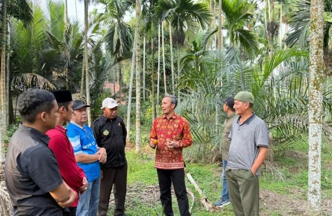 Edi Purwanto Dorong Pinang Masuk Daftar Komoditas Strategis Nasional