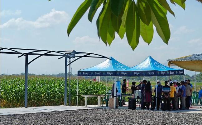 Risiko Resistensi Hama Jadi Fokus Ahli Pertanian, Bayer Dorong Edukasi Petani dan Penggunaan Pestisida yang Tepat