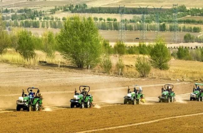 Tren Konsumsi Biji-Bijian Kasar Meningkat, China Dorong Inovasi Produk Sehat dan Praktis