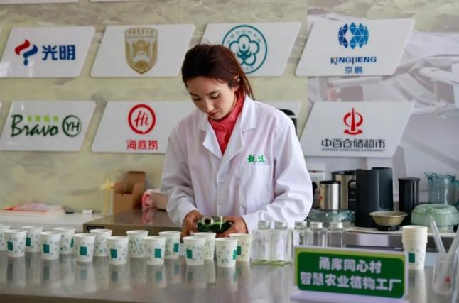 Investasi di Xinjiang Tembus 847,5 Miliar Yuan, Tumbuh 18,2 Persen dalam Tiga Kuartal Pertama 2025