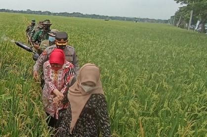 Kunjungi Cianjur Selatan, Anggota DPR Endang Setyawati Thohari Serap Aspirasi Petani Pedalaman
