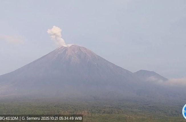 Gunung Semeru Erupsi Enam Kali Selasa Pagi, Kolom Letusan Capai 700 Meter