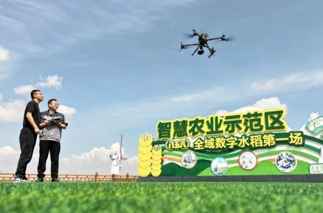 Dari Ekspor Mentah ke Sistem Terintegrasi: Strategi Baru Pertanian China Pikat Pasar Global