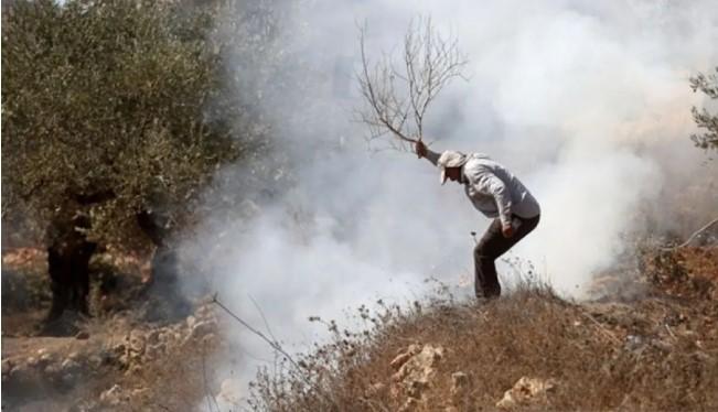 Palestina Tuduh Israel Hancurkan 90 Persen Aset Pertanian Gaza, Ribuan Petani Alami Kerugian Besar
