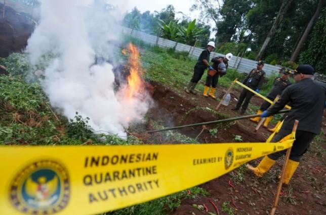 Pengawasan Karantina Diperketat, Barantin Perkuat Perlindungan Hayati Nasional