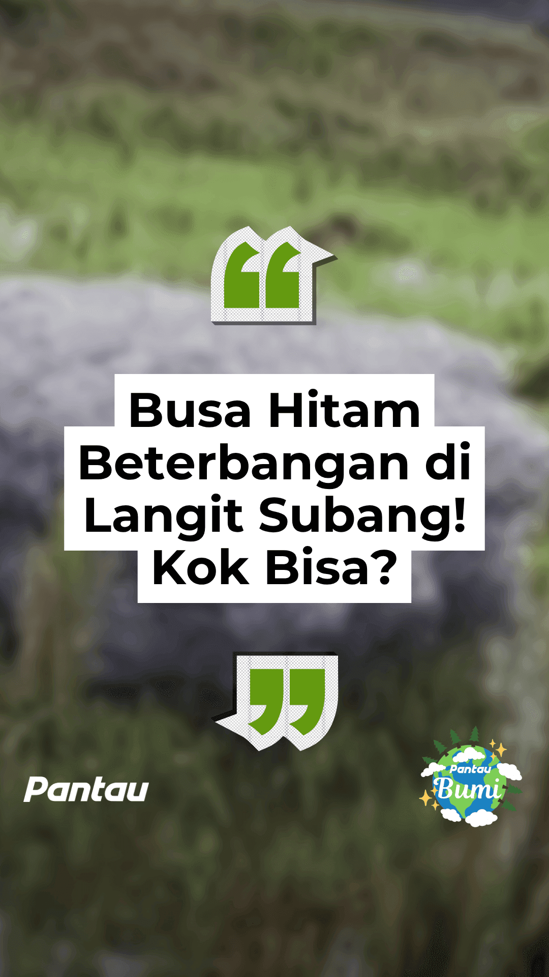 BUSA HITAM BETERBANGAN DI LANGIT SUBANG! KOK BISA?