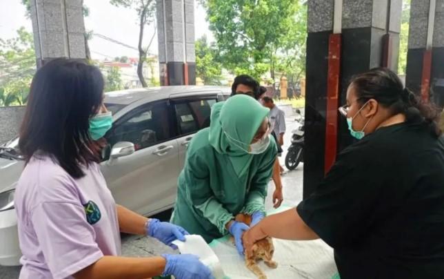 Pemkot Jakarta Timur Gencarkan Vaksinasi Rabies dan Edukasi Warga demi Cegah Penularan ke Manusia