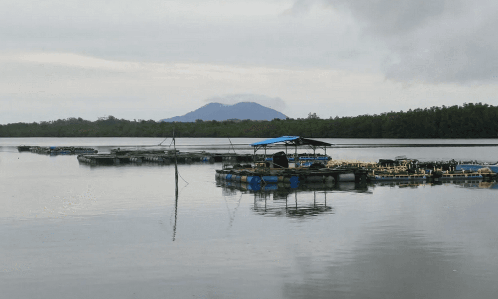 Pemprov Kepri Gencar Gaet Investor Tiongkok, Tawarkan Peluang di Migas, Perikanan, Industri, dan Pariwisata