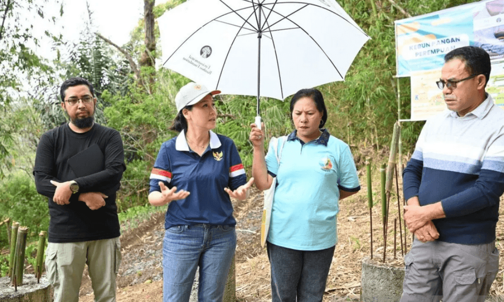 KemenPPPA Luncurkan Program Kebun Pangan Perempuan untuk Gizi Anak dan Ketahanan Pangan Desa
