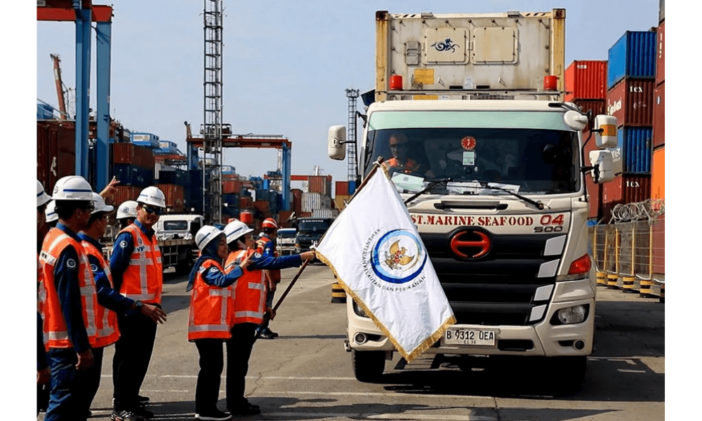 KKP Siapkan Sertifikasi Bebas Cs-137 untuk Pastikan Udang Indonesia Lolos Ekspor ke Amerika Serikat