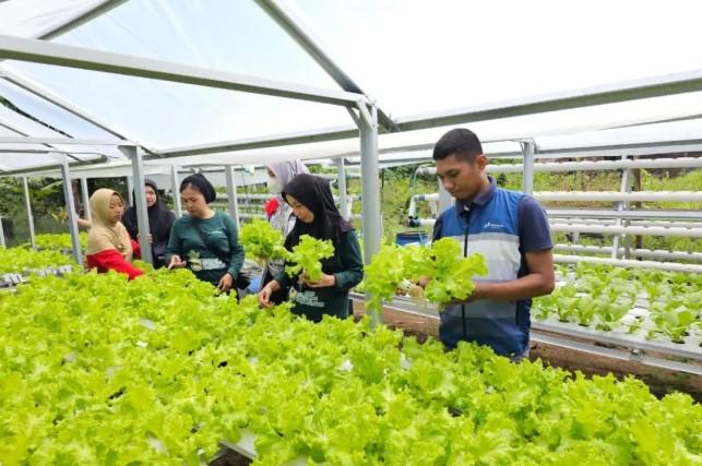 Pertamina Patra Niaga Sulawesi Gandeng Kelompok Wanita Tani Dukung Ketahanan Pangan Lewat Panen Bersama