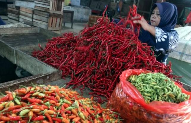 Harga Pangan Terkini 8 November 2025: Cabai dan Telur Naik, Beras Super Tembus Rp17.050 per Kilogram