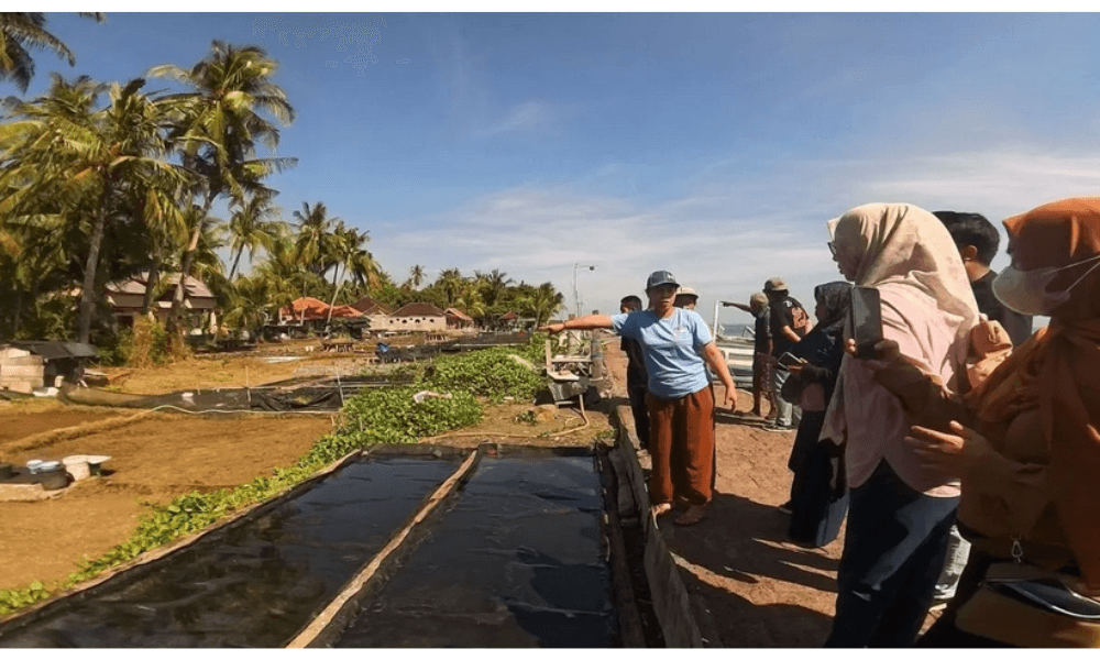 Desa Les Bali Jadi Simbol Pariwisata Hijau dan Inovasi Ekonomi Berbasis Garam Tradisional