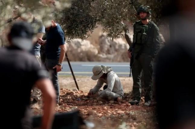 Pemukim Ilegal Israel Dirikan Pos Baru di Anata, Dikhawatirkan Ancam Komunitas Badui Palestina