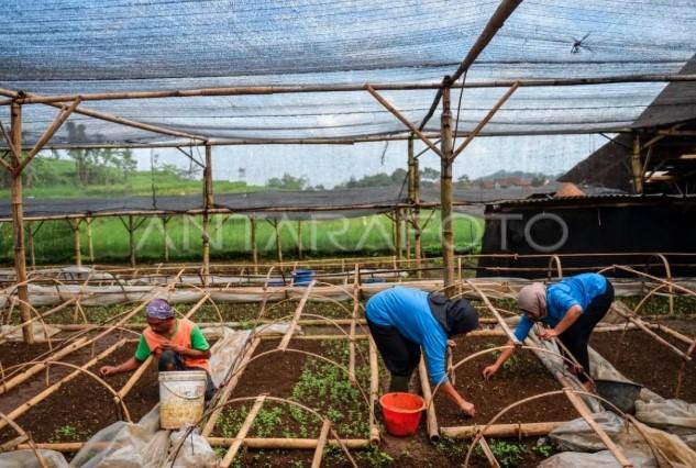 Menaker Tekankan Produktivitas sebagai Kunci Daya Saing Industri Nasional