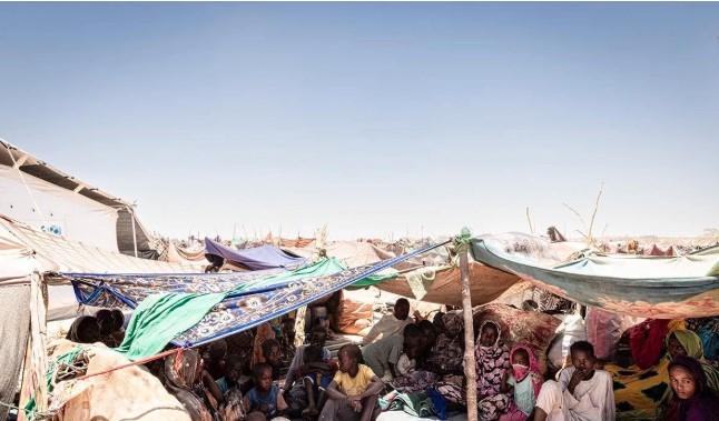 IOM Desak Respons Global atas Krisis Kemanusiaan di Sudan, 30 Juta Warga Butuh Bantuan