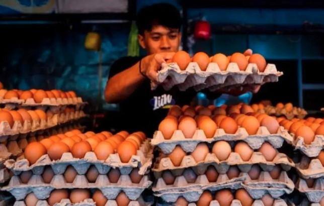 Harga Komoditas Pangan Nasional per 11 November 2025: Cabai Merah Masih Tertinggi, Beras Stabil