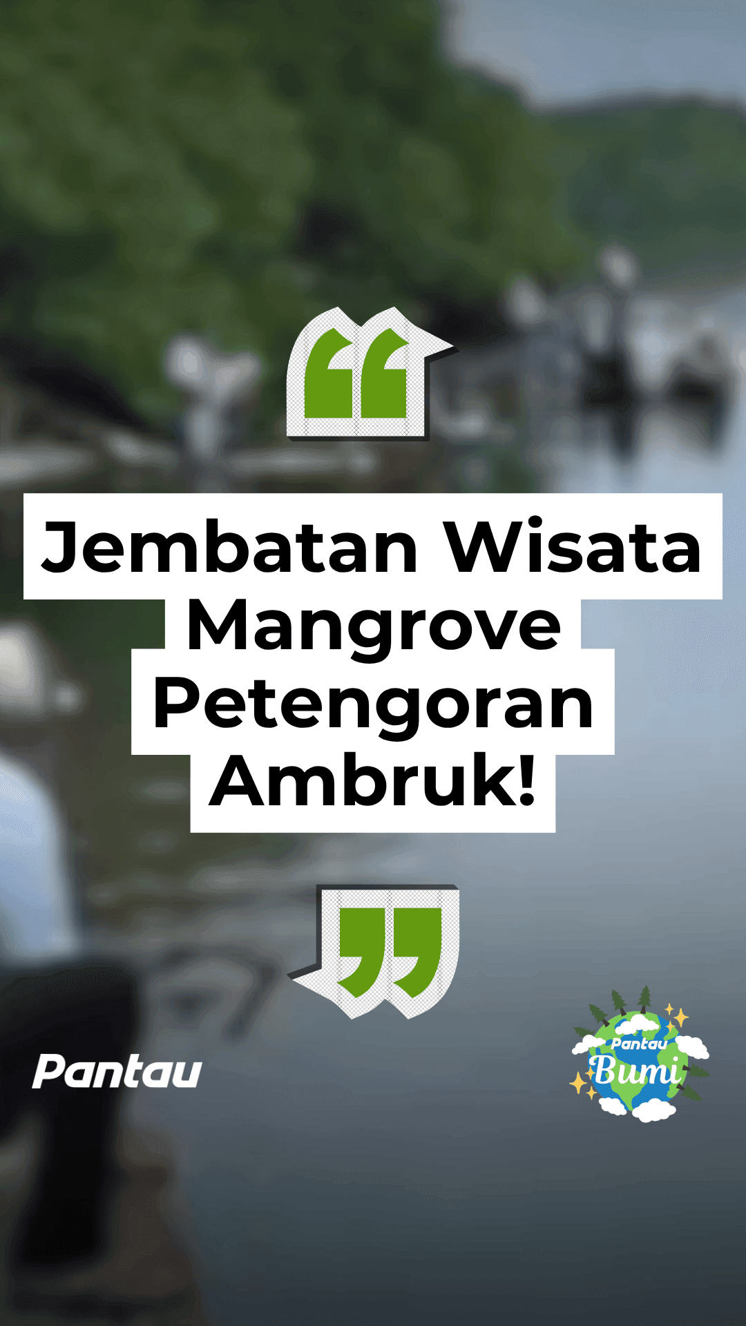 JEMBATAN WISATA MANGROVE PETENGORAN AMBRUK!