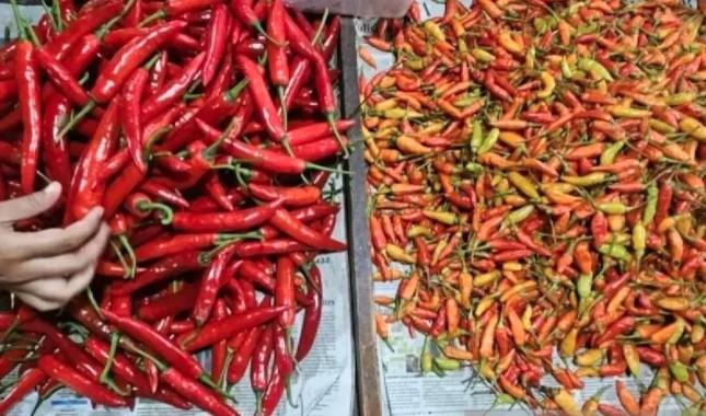 Harga Sejumlah Komoditas Pangan Nasional Terpantau Stabil, Cabai Merah Masih Tertinggi