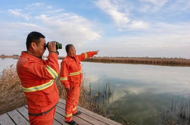 Taman Lahan Basah Tianhewan Jadi Habitat Ideal Burung Migran Berkat Restorasi Ekologis