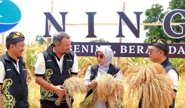 Swasembada Beras Bukan Sekadar Produksi: Padi Hibrida dan Sinergi Inovasi Jadi Kunci Kemandirian Pangan Nasional