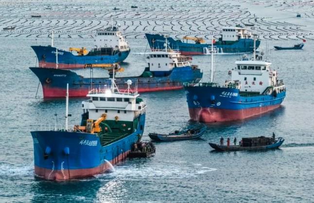 Shandong Perkuat Posisi sebagai Lumbung Pangan Biru China, Produksi Akuatik Tembus 8,25 Juta Ton