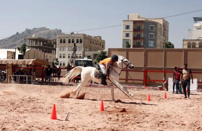 Lomba Pancang Tenda Digelar di Sanaa, Warga Yaman Sambut Antusias Kompetisi Tradisional Berkuda