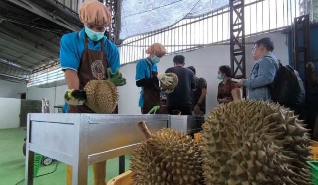 Ekonomi Terkini: Ekspor Durian ke China Melonjak, Utang Luar Negeri Indonesia Turun di Kuartal III 2025