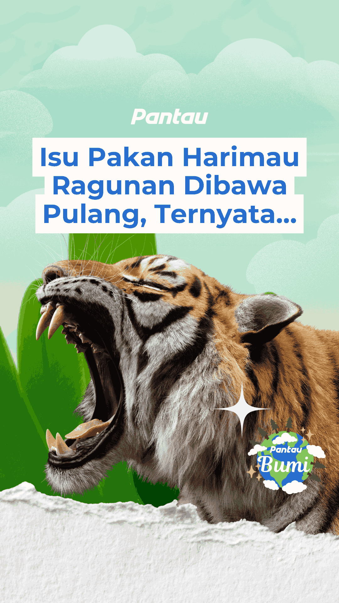 ISU PAKAN HARIMAU RAGUNAN DIBAWA PULANG, TERNYATA..