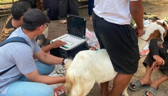 Posyandu Kambing Unja Hadir di Tanjungjabung Barat, Layani IB dan USG Langsung ke Kandang
