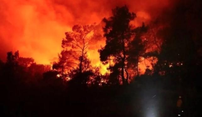 Kebakaran Hebat di Oita Jepang Hanguskan 170 Bangunan, Ratusan Orang Mengungsi