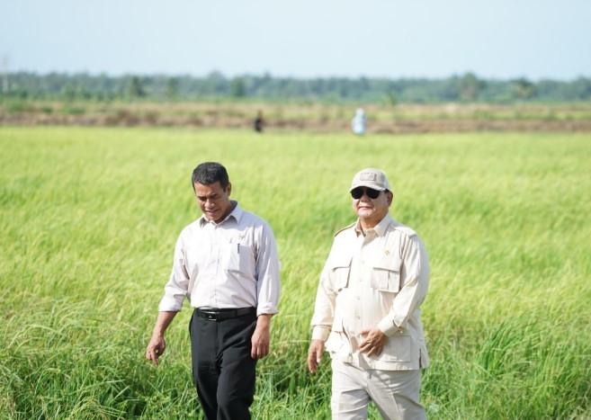 Said Didu: Serakahnomics Harus Diberantas, Langkah Mentan Amran Selaras dengan Arah Presiden Prabowo