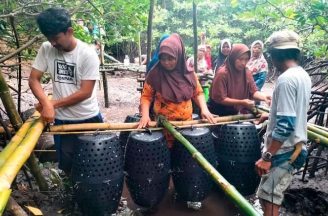 KKP Perluas Diseminasi Teknologi LARITA dan Crab Drum untuk Dukung Nelayan dan Pembudidaya Kepiting