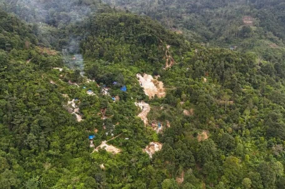Kementerian Kehutanan Tindak Tegas Tambang Ilegal di Taman Nasional Gunung Halimun Salak