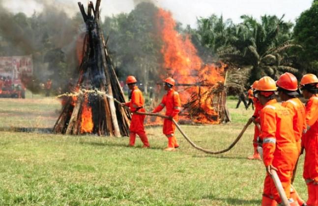 Grup Sampoerna Lepas 65,721 Persen Saham SGRO ke POSCO International, Tegaskan Komitmen Bisnis di Indonesia