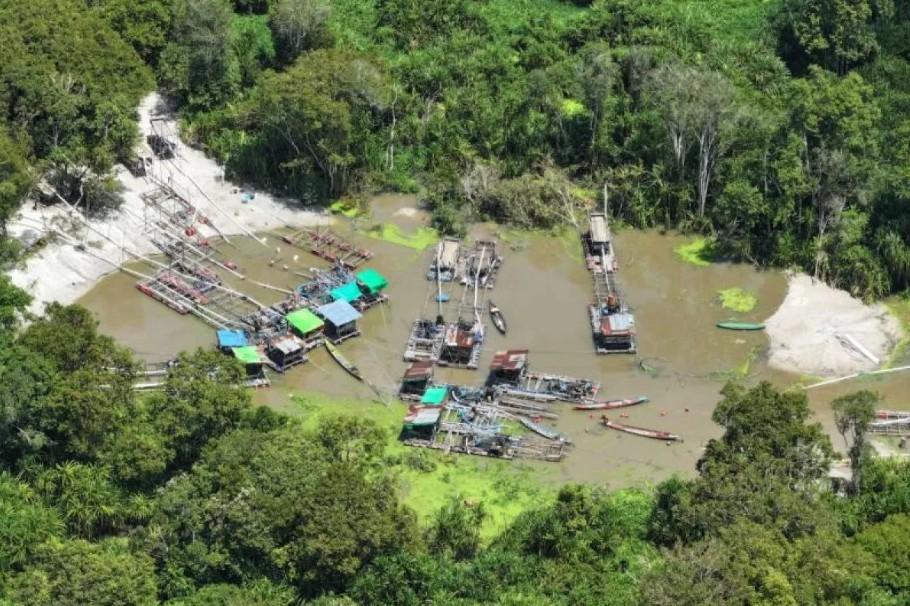12 Penambang Emas Ilegal Diamankan di Taman Nasional Tanjung Puting, Kasus Berawal dari Kematian Orang Utan