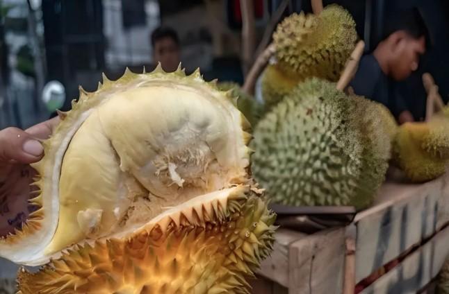 Durian Montong Parigi Resmi Diakui sebagai Kekayaan Intelektual Komunal Sulawesi Tengah