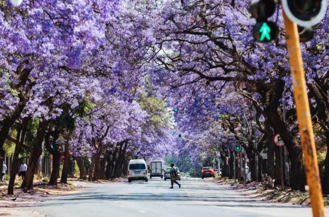 AS Tegaskan Tidak Hadiri KTT G20 di Afrika Selatan pada November 2025