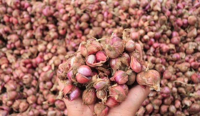 Harga Pangan Terkini 22 November 2025: Cabai Merah Tembus Rp57.350/kg, Beras Super Capai Rp17.050/kg