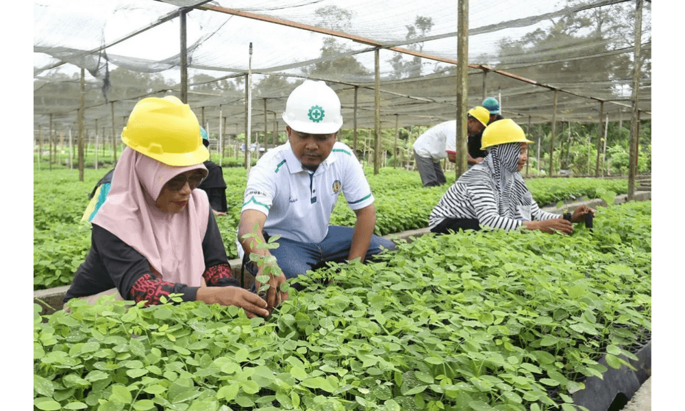 BJA Group Perkuat Ekonomi Pohuwato Lewat Industri Pelet Kayu Berorientasi Ekspor