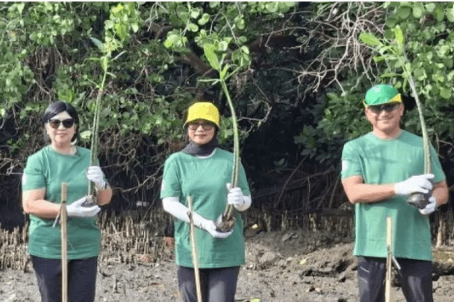 Kompensasi Emisi KKI 2025, Bank Indonesia Tanam 1.000 Mangrove di Teluk Benoa Bali
