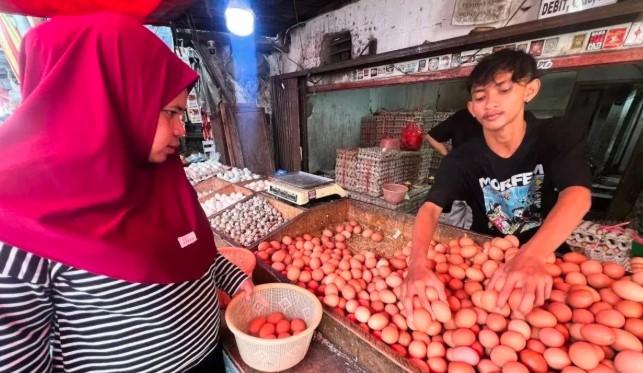 BPS Catat Penurunan Harga Telur Ayam Ras di Beberapa Wilayah pada November 2025