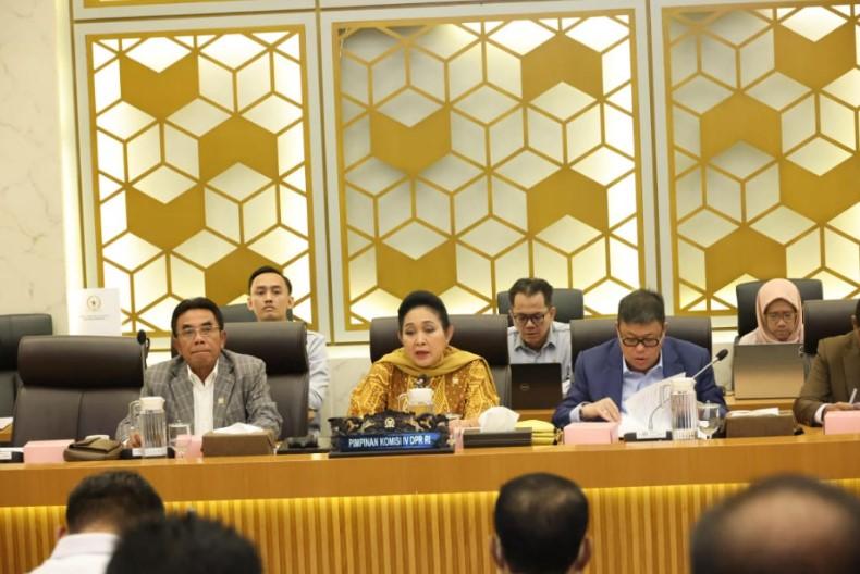 Mentan Amran Banjir Apresiasi dari Komisi IV DPR RI