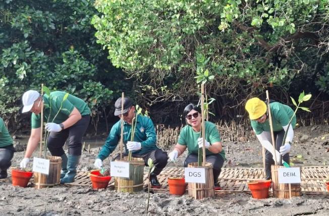 Bank Indonesia menyalurkan insentif makroprudensial sebesar Rp36,38 triliun hingga 1 November 2025 kepada perbankan yang memb