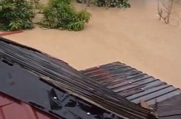Puluhan Warga Terjebak di Atap Rumah, Aceh Timur Dilanda Banjir dan Pohon Tumbang