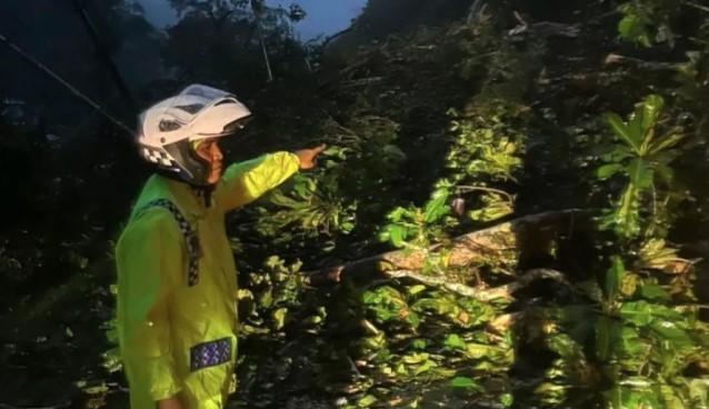 Longsor di Lembah Anai Lumpuhkan Akses Padang-Bukittinggi, Warga Diminta Waspada Cuaca Ekstrem