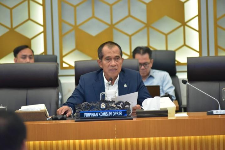 DPR Pastikan Stok Pangan Nasional Aman Jelang Nataru 2025 dan Minta Publik Tetap Tenang