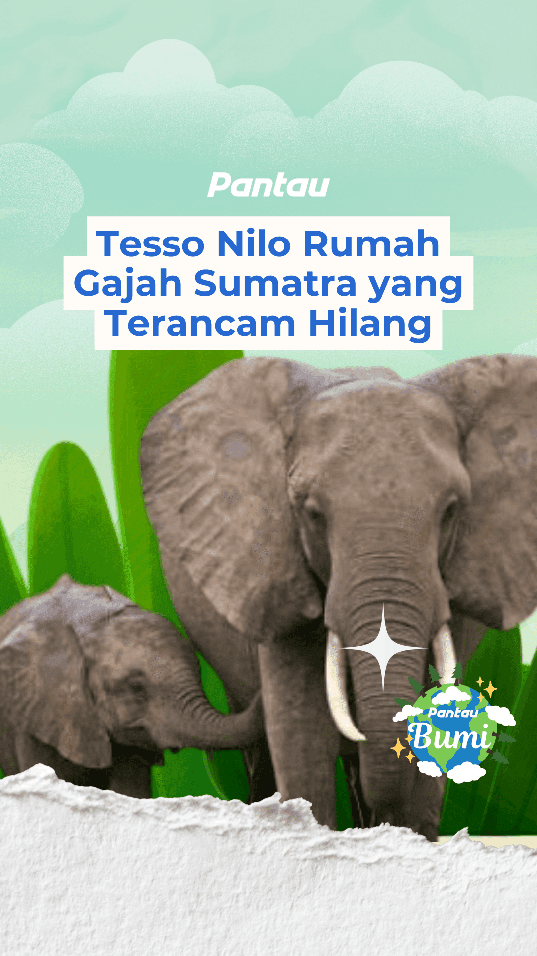 TESSO NILO RUMAH GAJAH SUMATRA YANG TERANCAM HIKANG