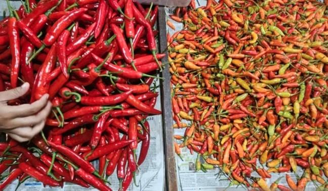 PIHPS Rilis Harga Pangan Nasional Terkini: Cabai, Beras, dan Minyak Goreng Naik di Pasaran